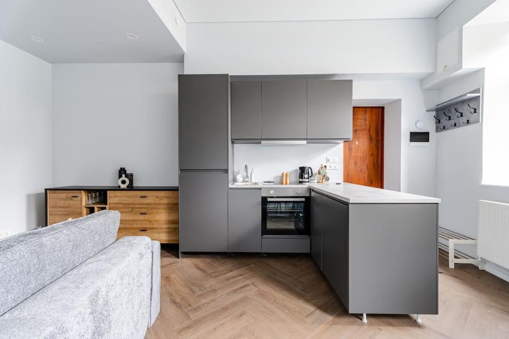 Modern Flat In Old Town Kaunas - Free Parking & Self Check-In Εξωτερικό φωτογραφία