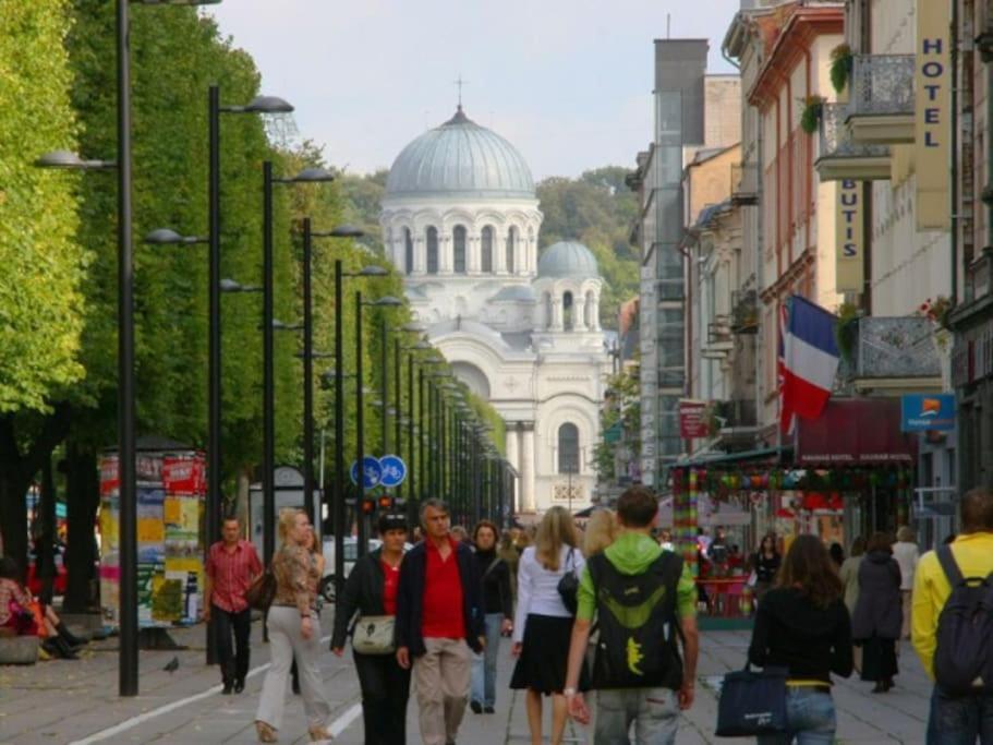 Modern Flat In Old Town Kaunas - Free Parking & Self Check-In Εξωτερικό φωτογραφία